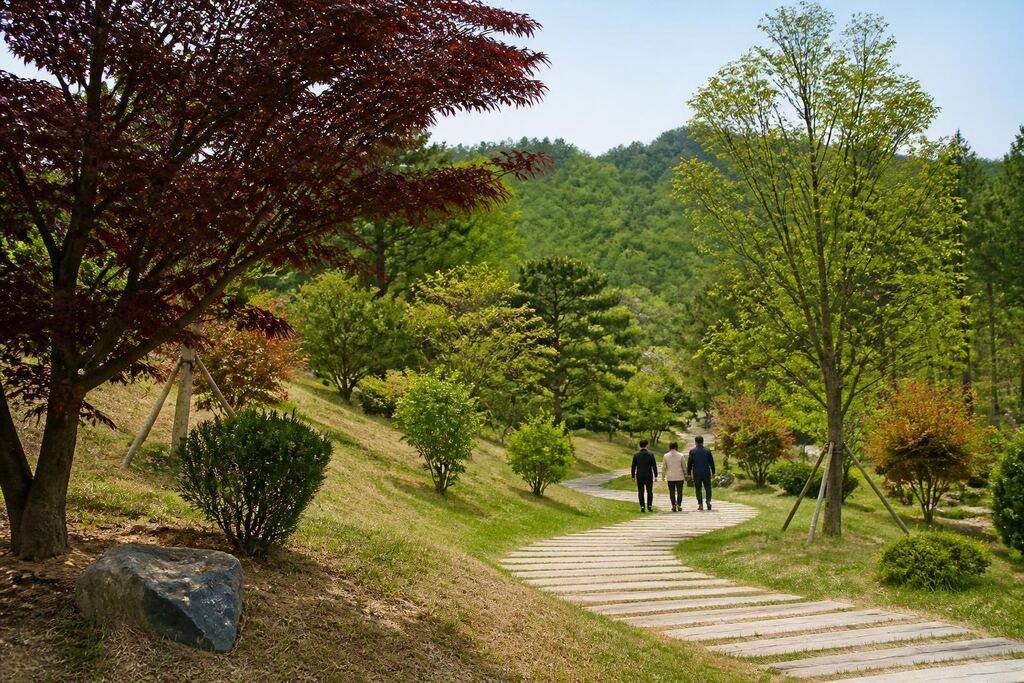 서울 용산구 수목장 작업 범위와 현장 조건 이미지
