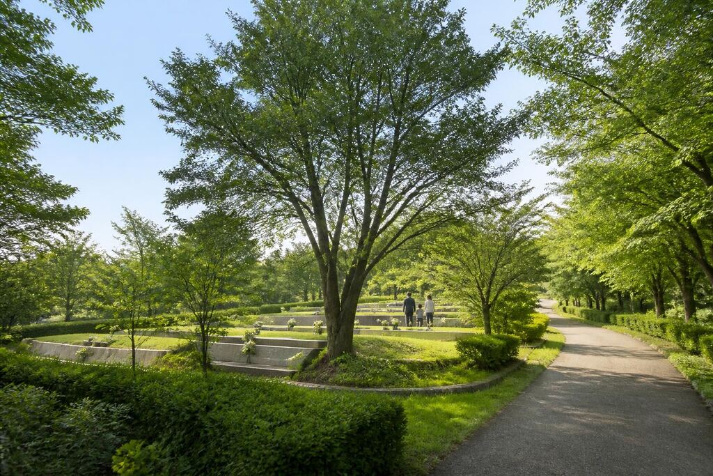 서울 성동구 수목장 이미지