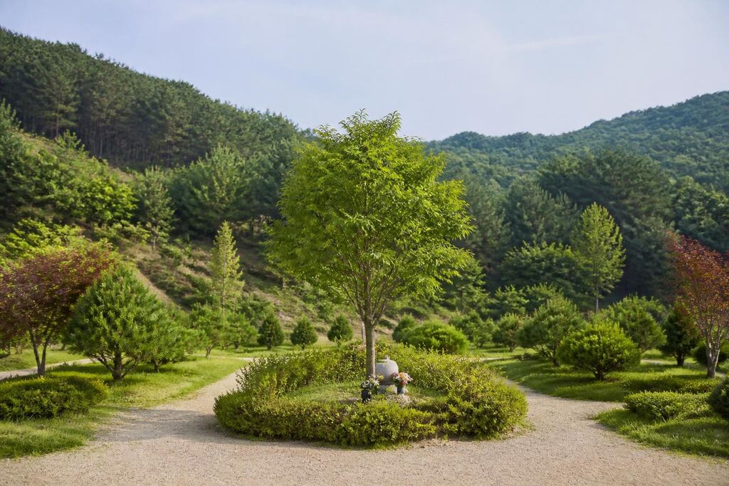 서울 동대문구 수목장 이미지