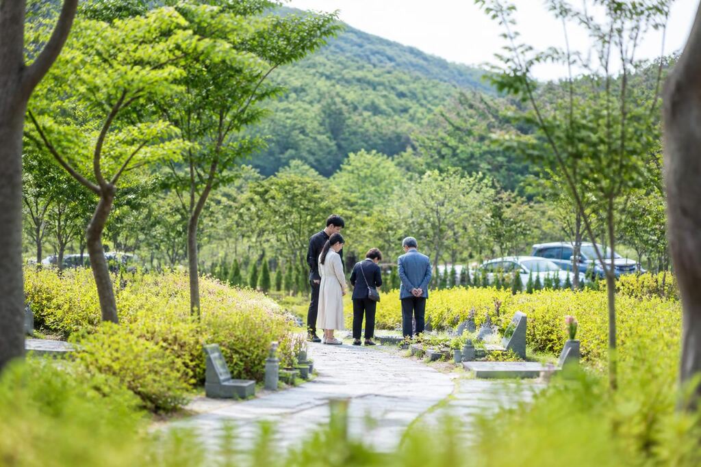 서울 중랑구 수목장 비용과 업체 비교 정보 이미지