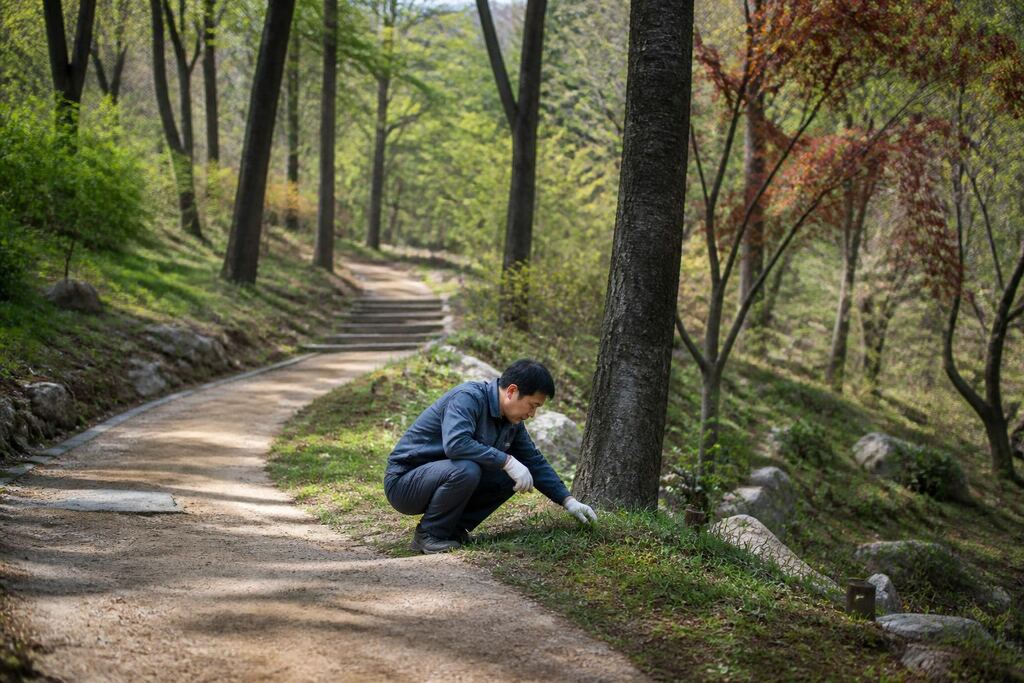 서울 도봉구 수목장 비용과 업체 비교 정보 이미지