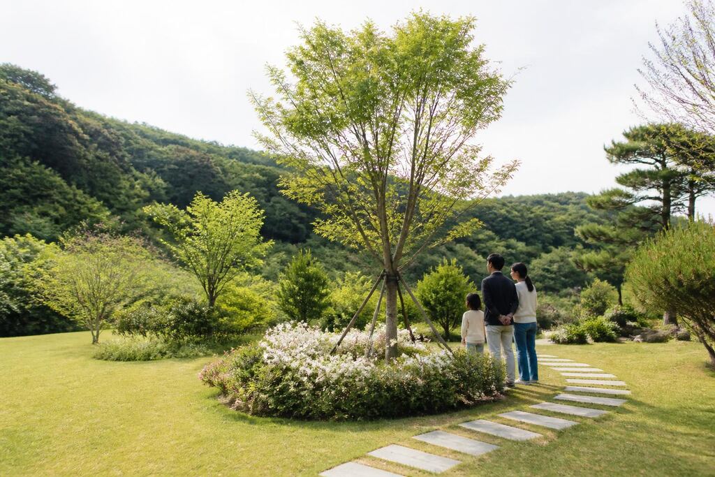 서울 노원구 수목장 이미지