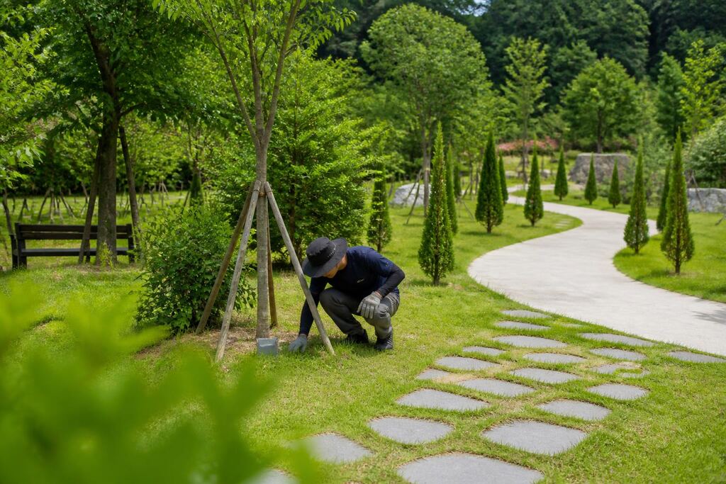 서울 노원구 수목장 비용과 업체 비교 정보 이미지