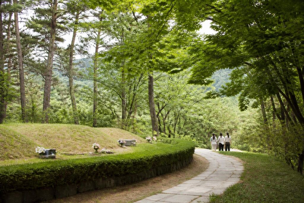 서울 서대문구 수목장 이미지