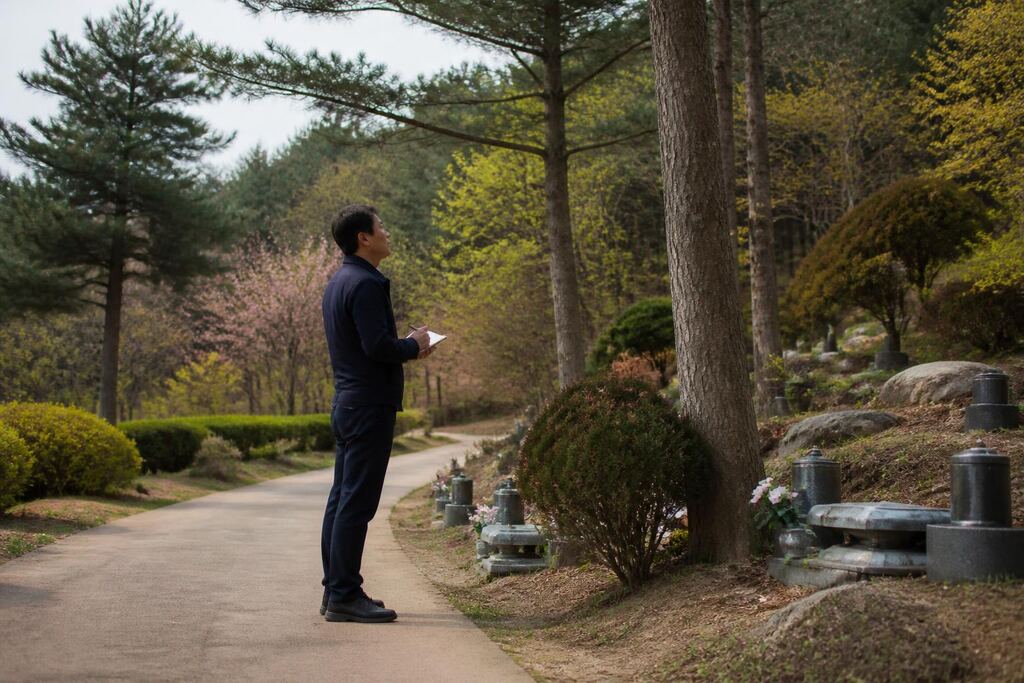 서울 마포구 수목장 비용과 업체 비교 정보 이미지