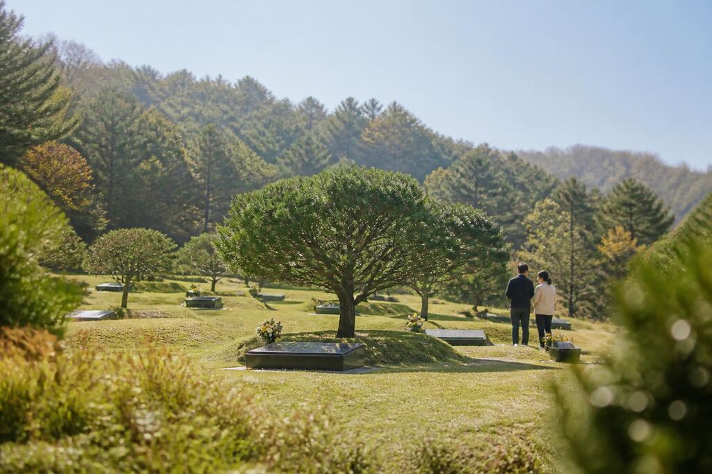 서울 양천구 수목장 이미지