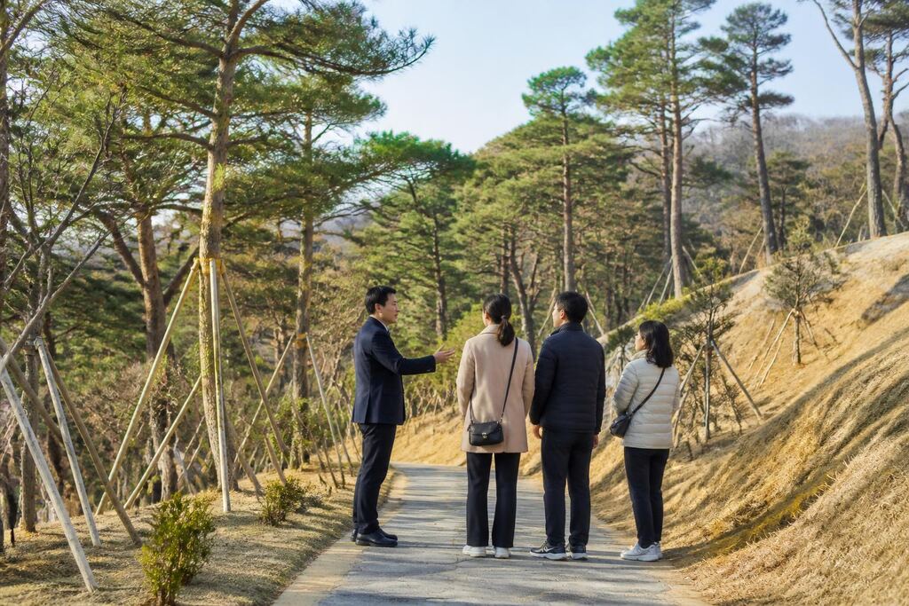 서울 양천구 수목장 비용과 업체 비교 정보 이미지