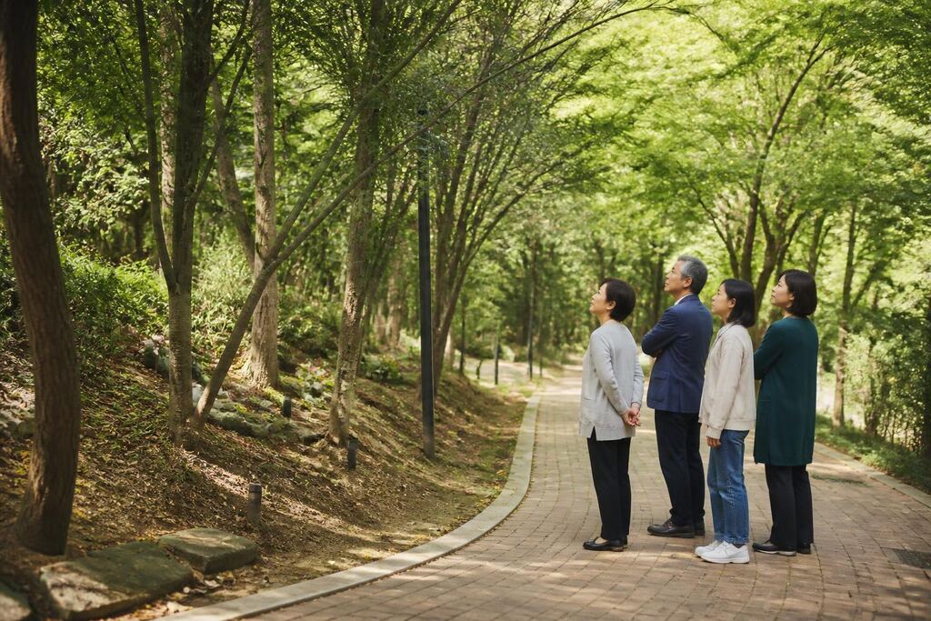 서울 관악구 수목장 비용과 업체 비교 정보 이미지
