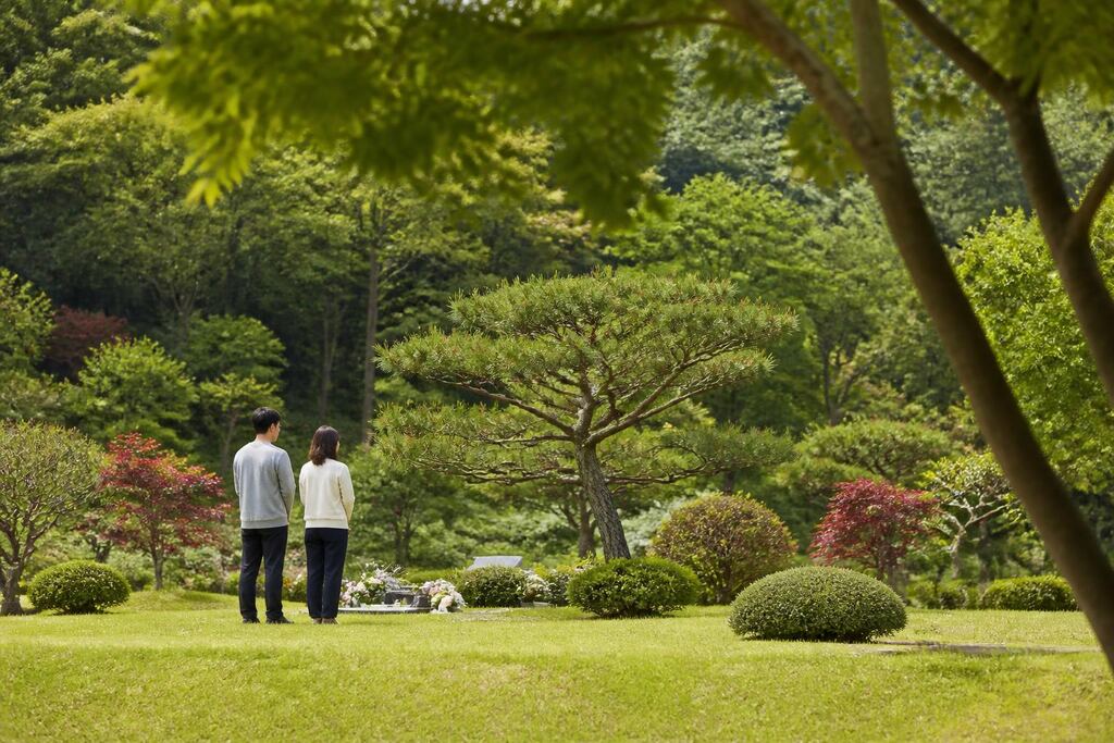 서울 강남구 수목장 이미지