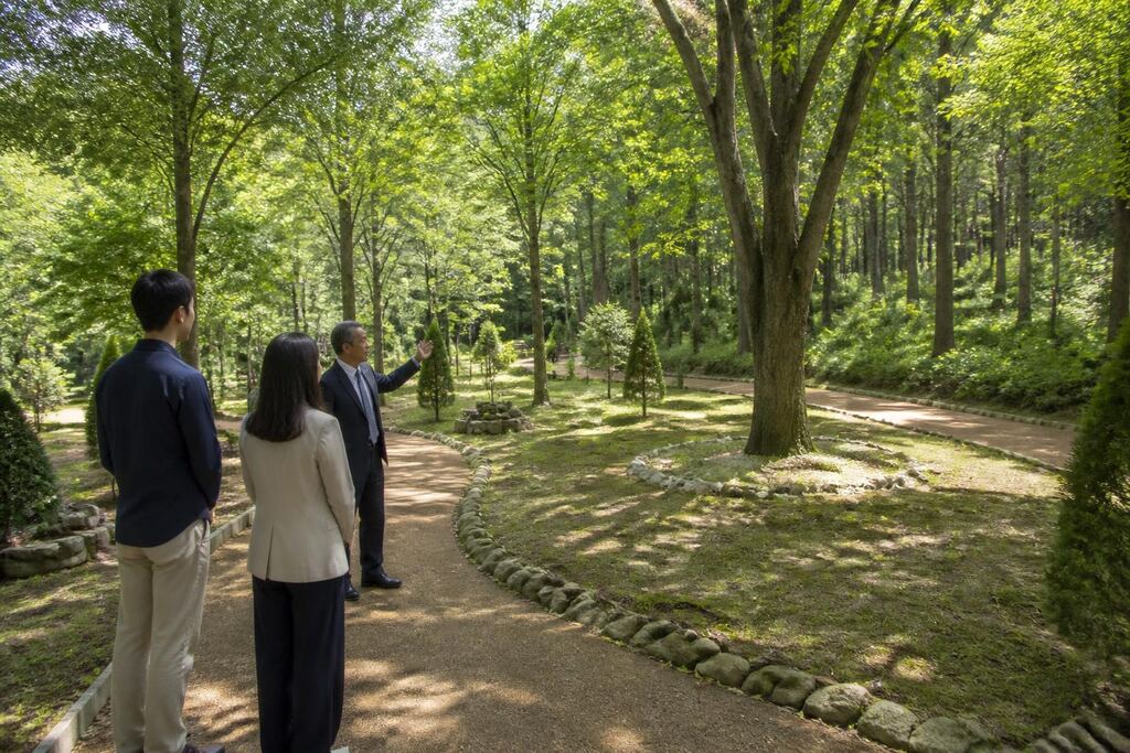 서울 송파구 수목장 비용과 업체 비교 정보 이미지
