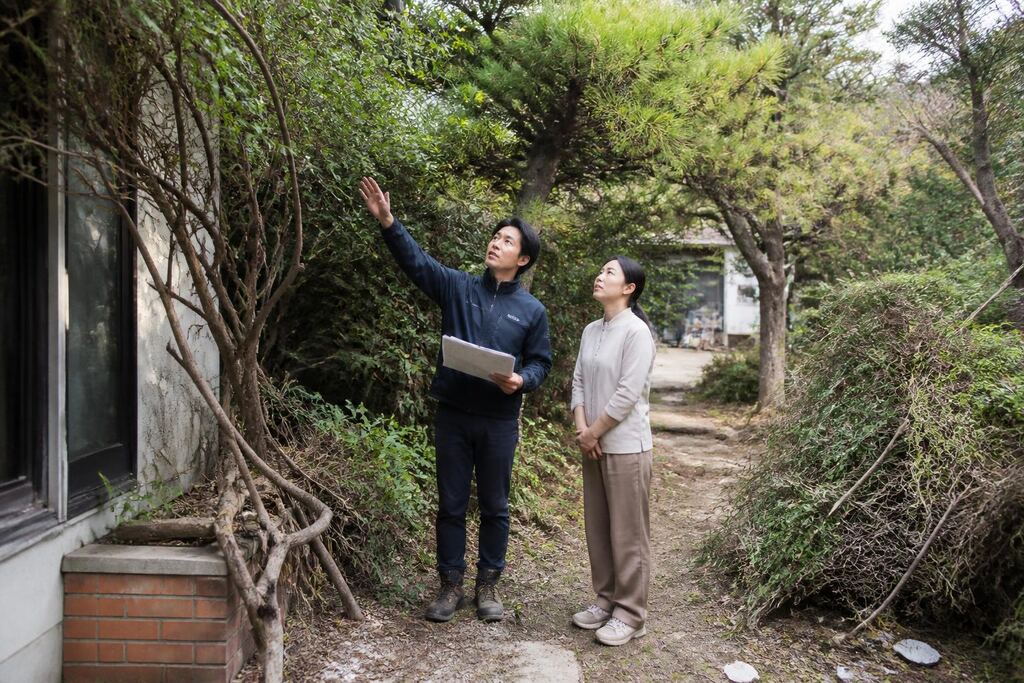 정원 정리·복구 서비스 작업 범위와 현장 조건 이미지