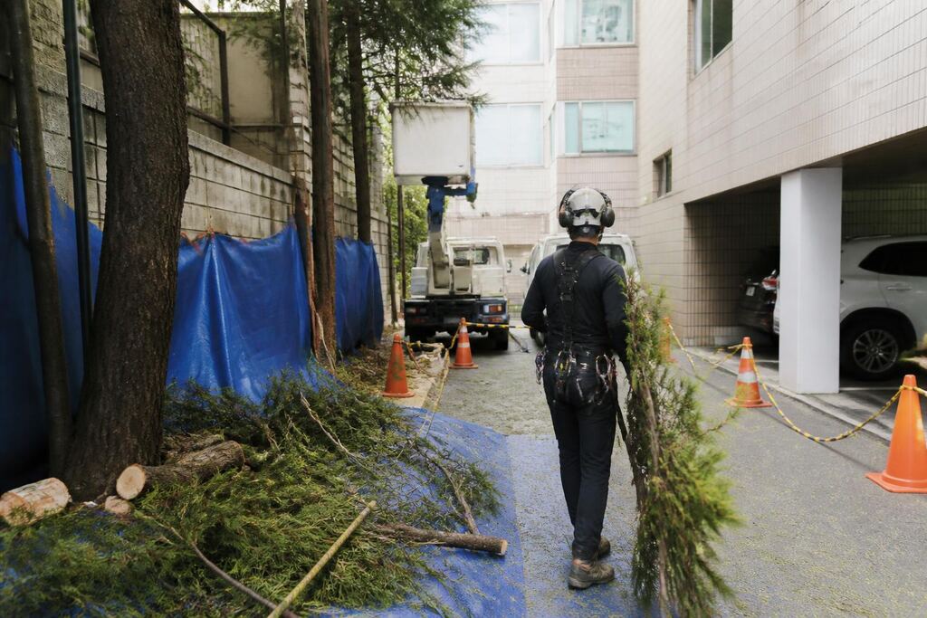 나무 전지·전정 견적 비교와 선택 정보 이미지