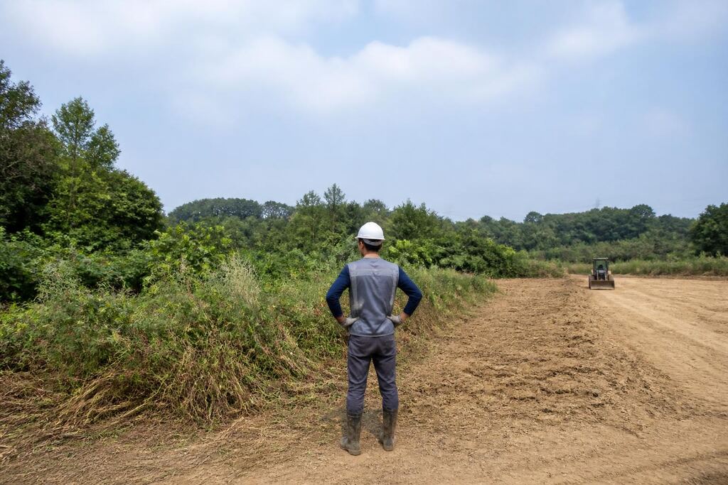 공터 정리 서비스 대표 이미지