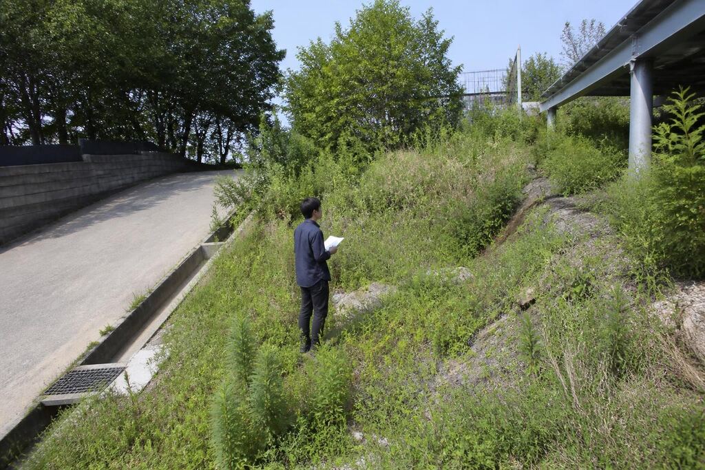 제초 작업 서비스 작업 범위와 현장 조건 이미지