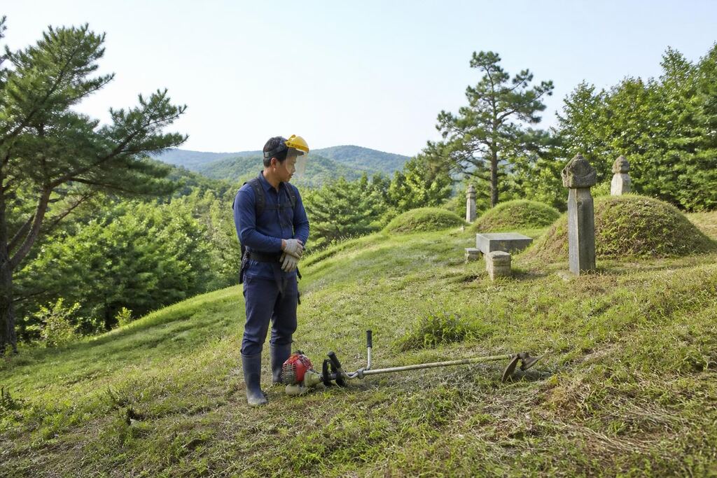 벌초 서비스 대표 이미지