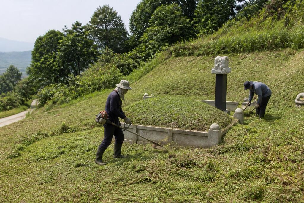 벌초 서비스 작업 범위와 현장 조건 이미지