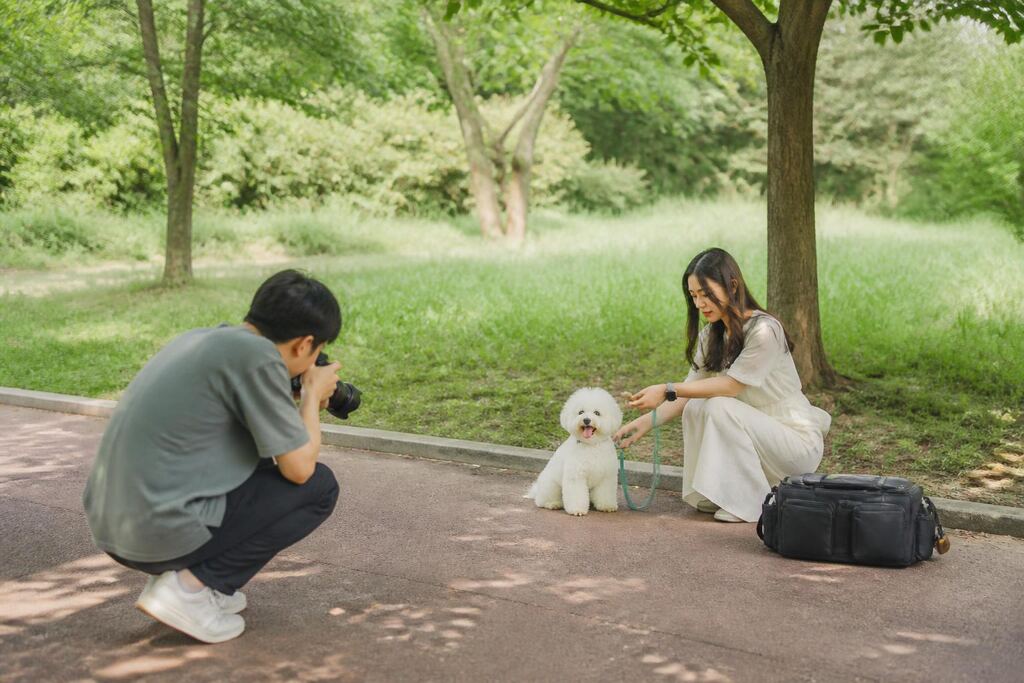 반려동물 촬영 서비스 작업 범위와 현장 조건 이미지