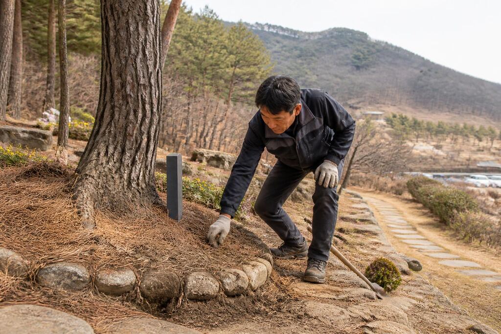 수목장 견적 비교와 선택 정보 이미지